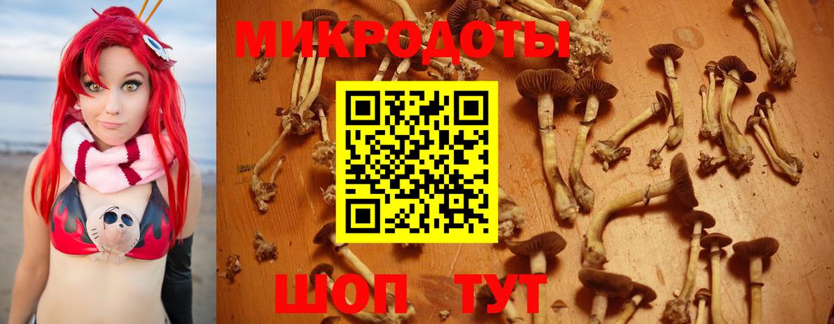 Галлюциногенные грибы Psilocybe  Псилоцибиновые грибы Psilocybe  Вход с VPN  Шахты 